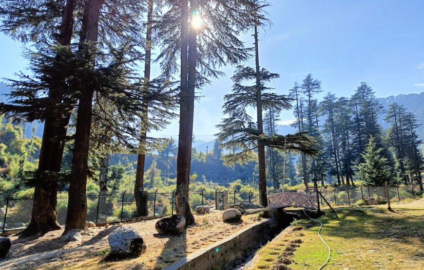 Nalthi Park – Jammu and Kashmir