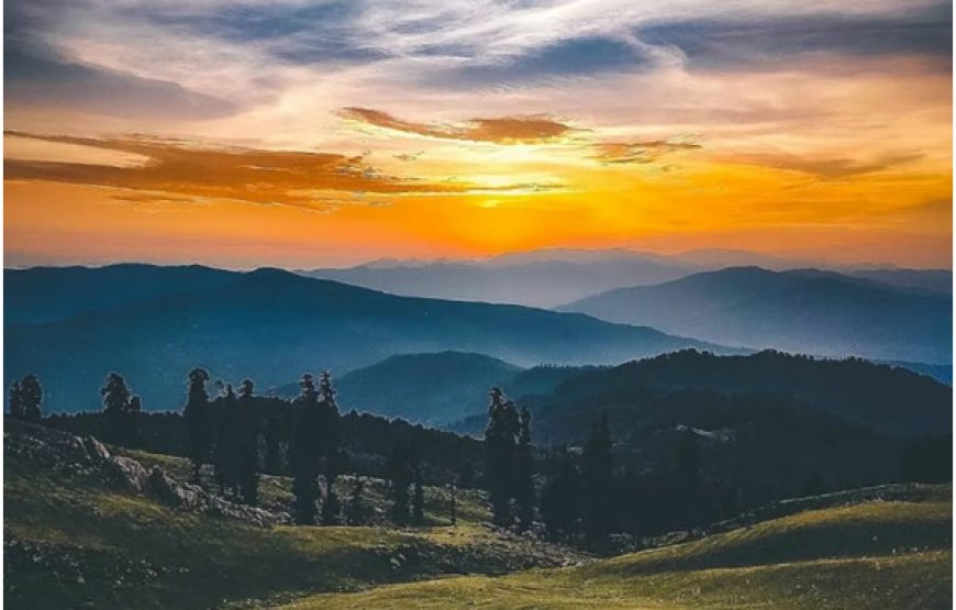 Jungle Gali – Jammu and Kashmir