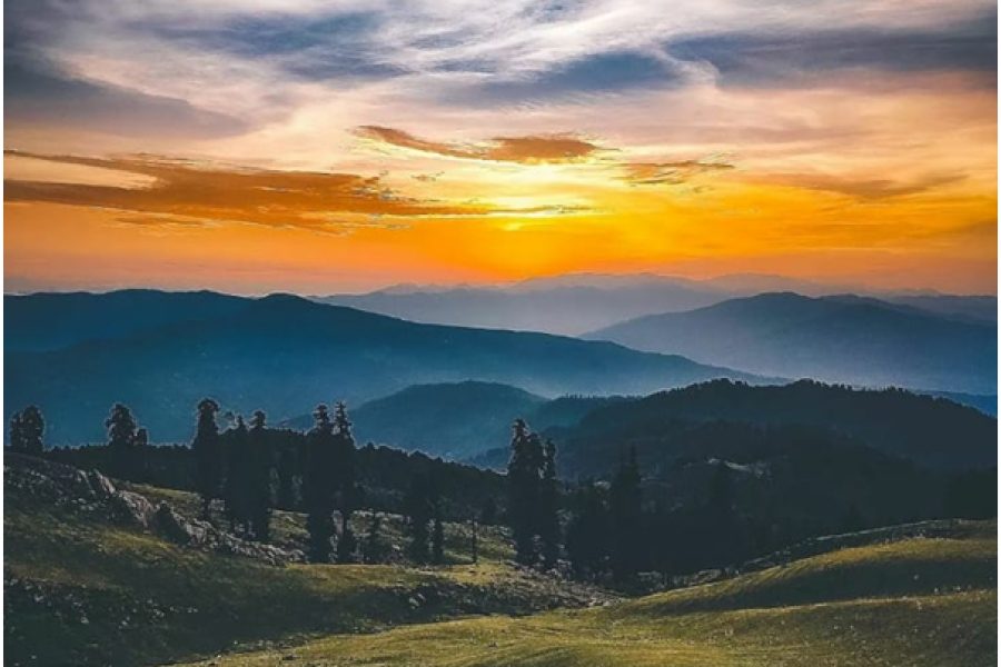 Jungle Gali – Jammu and Kashmir