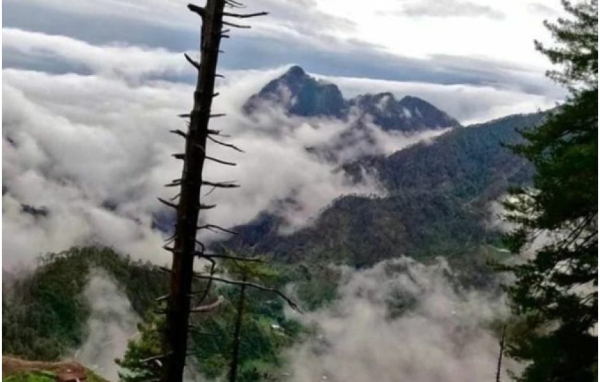 Jungle Gali – Jammu and Kashmir