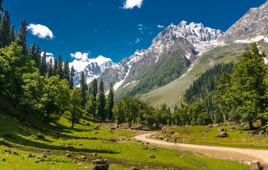 Thajiwas Glacier – Jammu and Kashmir