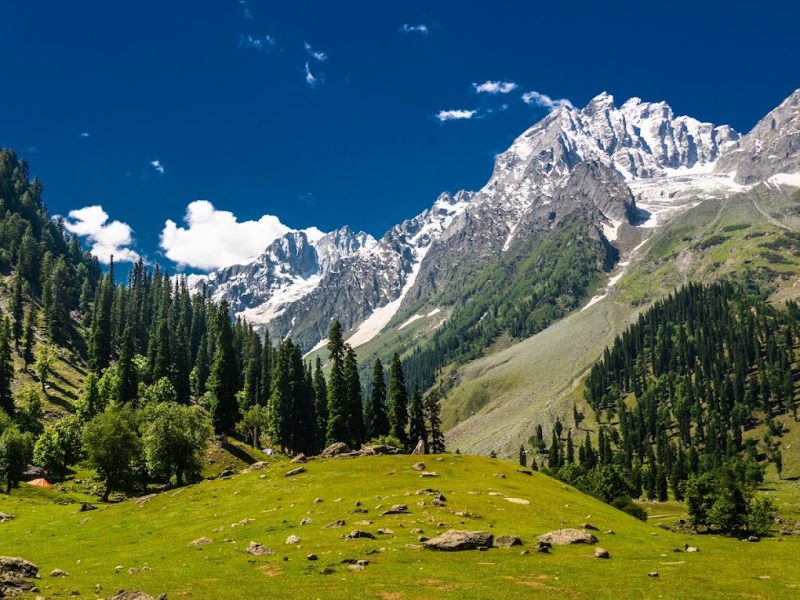 Thajiwas Glacier – Jammu and Kashmir