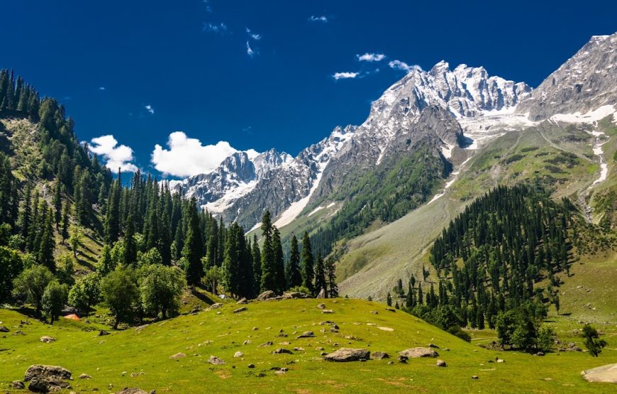 Thajiwas Glacier – Jammu and Kashmir