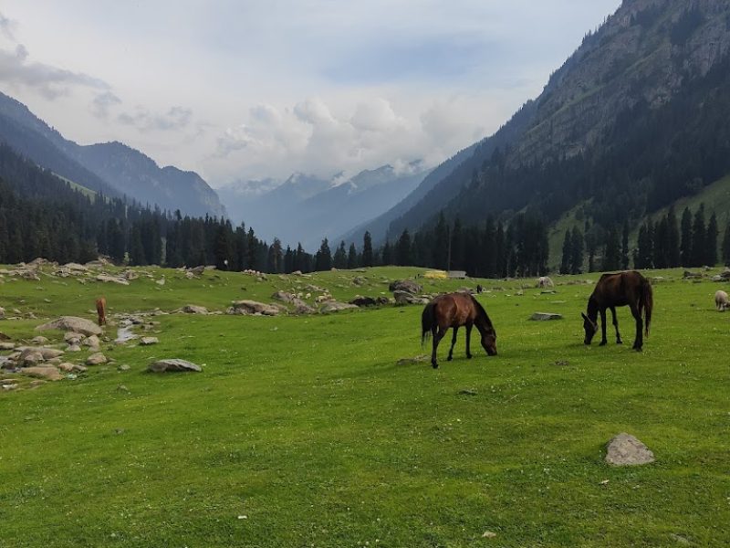 Lidderwat – Jammu and Kashmir