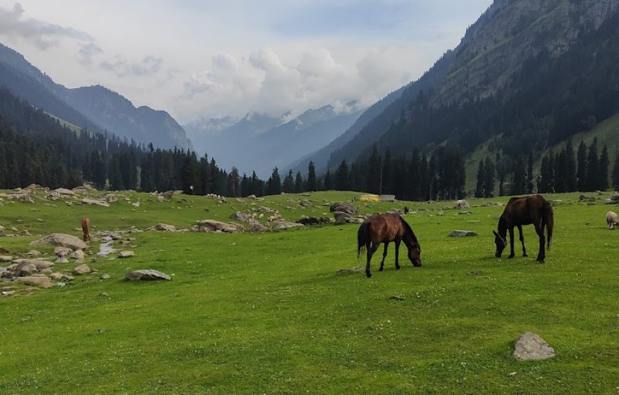 Lidderwat – Jammu and Kashmir