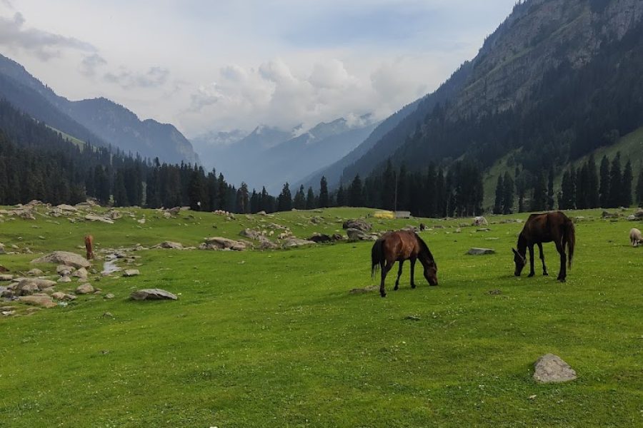 Lidderwat – Jammu and Kashmir