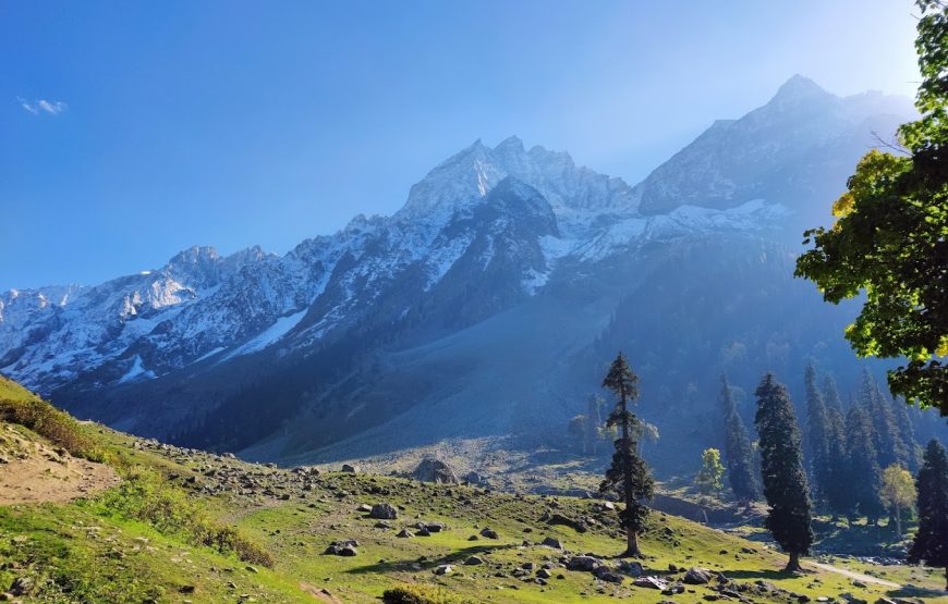 Thajiwas Glacier – Jammu and Kashmir