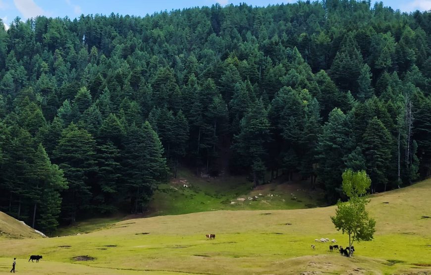 Lal Draman – Jammu and Kashmir