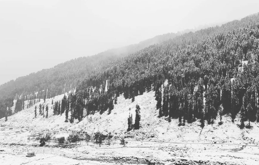 Sarthal valley – Jammu & Kashmir