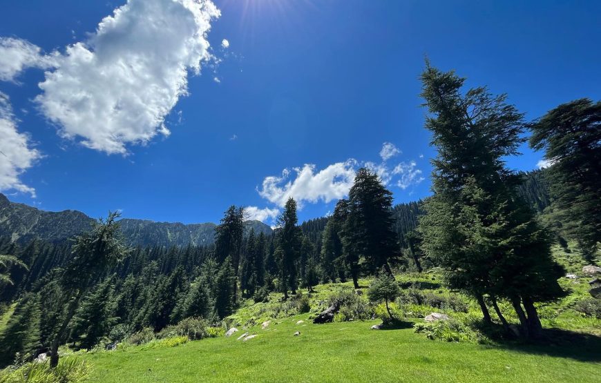 Sarchi village – Himachal Pradesh