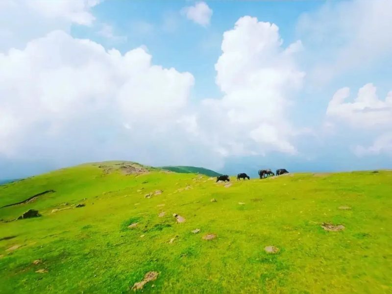 Ladha Dhar hill station – Udhampur
