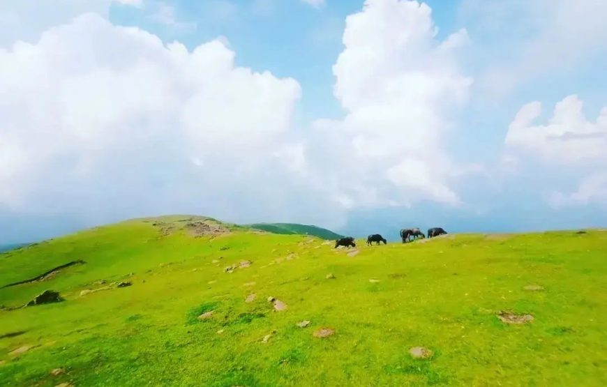 Ladha Dhar hill station – Udhampur