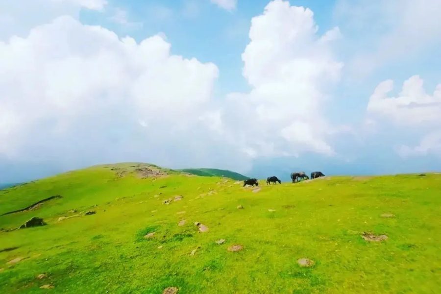 Ladha Dhar hill station – Udhampur