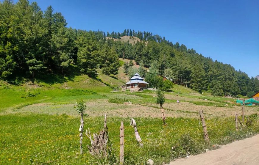 Sheikhpora Tulail – Jammu and Kashmir