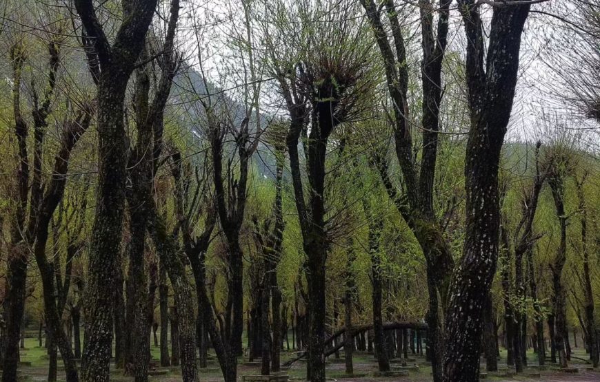Pahalgam – Jammu and Kashmir