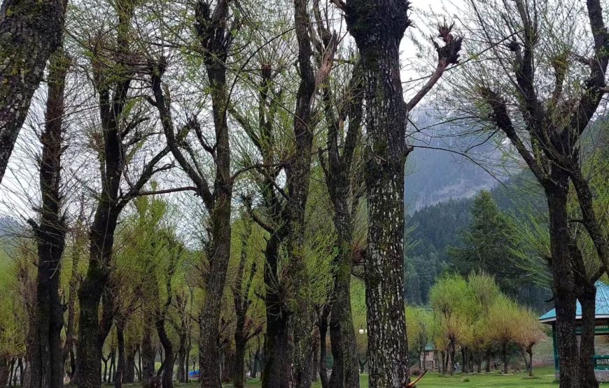 Pahalgam – Jammu and Kashmir