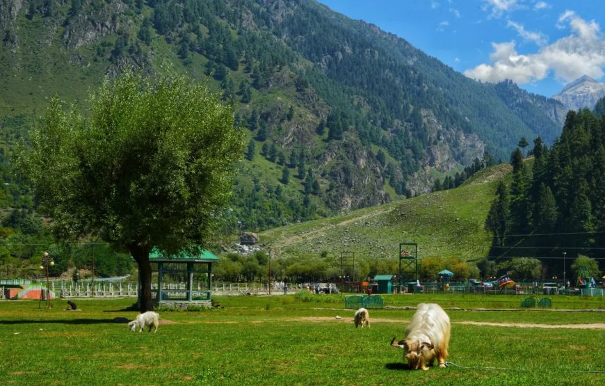 Pahalgam – Jammu and Kashmir
