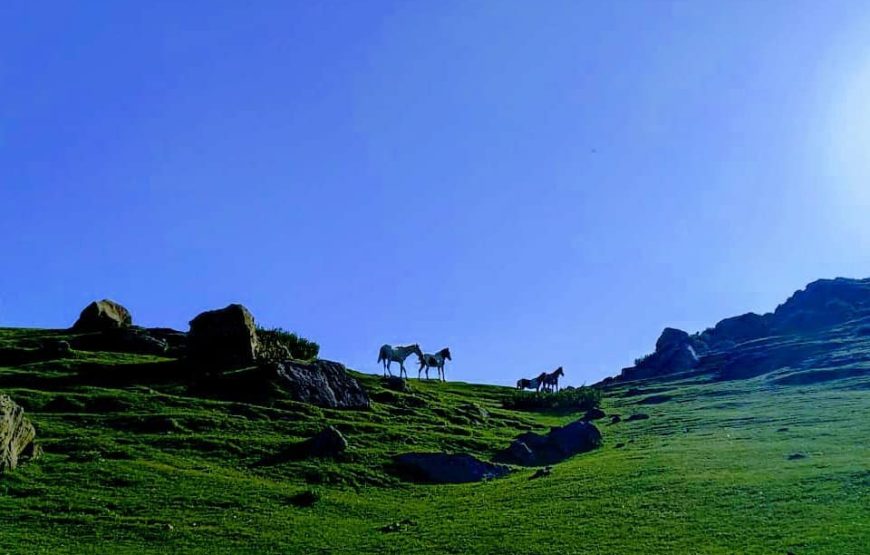 Ladha Dhar hill station – Udhampur
