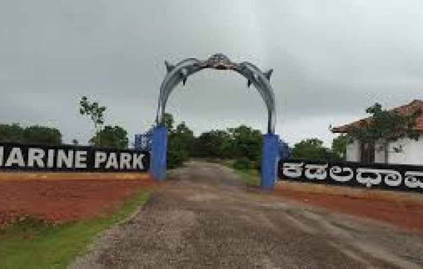 Undiscovered Car Camping Haven in Kelaginuru | Near Marine Park Arch, Kadaladhama | Apsarakonda, Karnataka