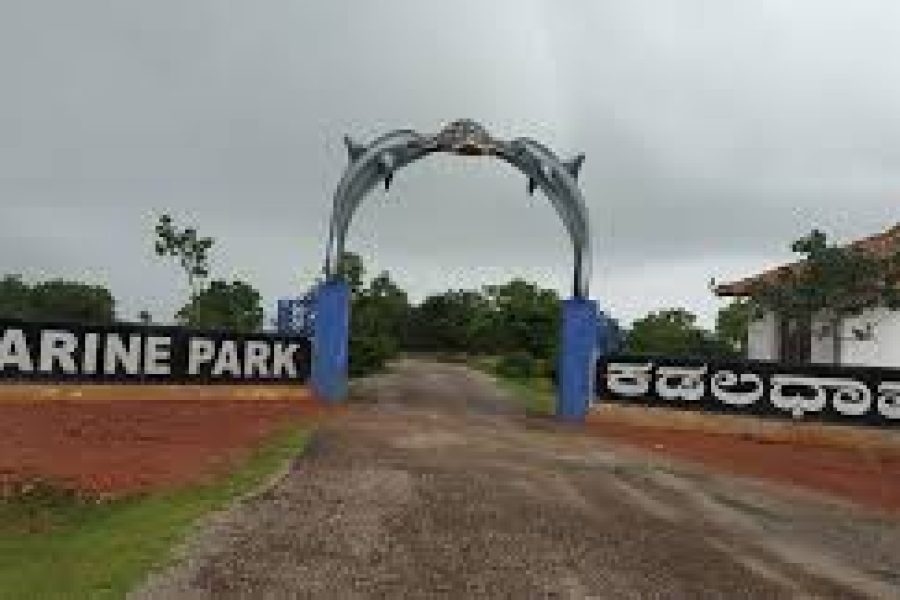 Undiscovered Car Camping Haven in Kelaginuru | Near Marine Park Arch, Kadaladhama | Apsarakonda, Karnataka